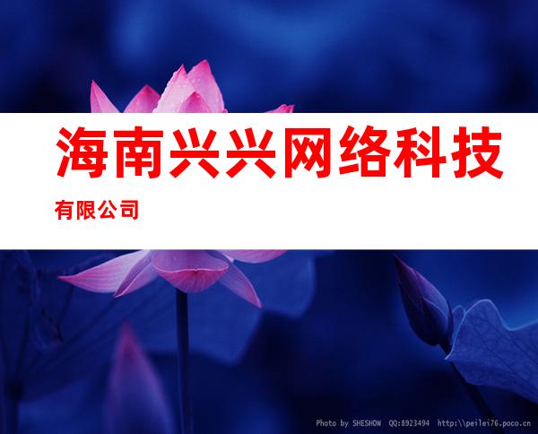 海南兴兴网络科技有限公司